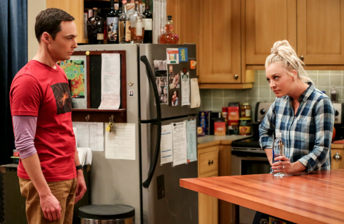 Penny et Sheldon Cooper HabeebX