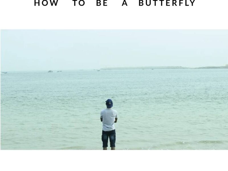 Habeeb Kolade How To Be A Butterfly