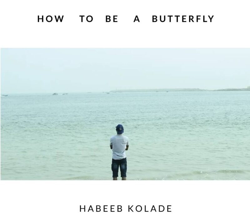 Habeeb Kolade How To Be A Butterfly